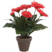 Artificial Plant - Pink Gerbera - MICA